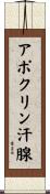 アポクリン汗腺 Scroll