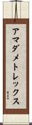 アマダメトレックス Scroll
