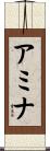 Amina Scroll