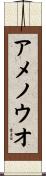 アメノウオ Scroll