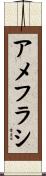 アメフラシ Scroll