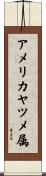 アメリカヤツメ属 Scroll