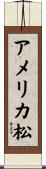 アメリカ松 Scroll