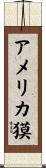アメリカ獏 Scroll