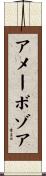 アメーボゾア Scroll