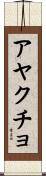 アヤクチョ Scroll