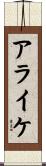 アライケ Scroll