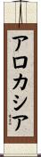 アロカシア Scroll