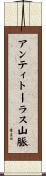 アンティトーラス山脈 Scroll