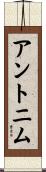 アントニム Scroll