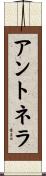Antonela Scroll