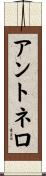 Antonello Scroll