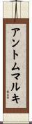 アントムマルキ Scroll