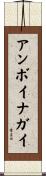 アンボイナガイ Scroll