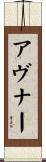 Avner Scroll