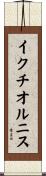 イクチオルニス Scroll
