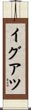イグアツ Scroll
