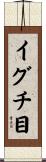 イグチ目 Scroll