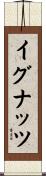 イグナッツ Scroll