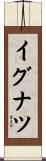 イグナツ Scroll