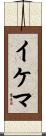 イケマ Scroll