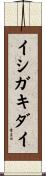 イシガキダイ Scroll