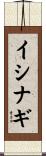イシナギ Scroll