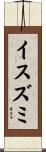イスズミ Scroll