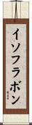 イソフラボン Scroll