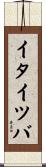 イタイツバ Scroll