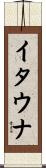 イタウナ Scroll