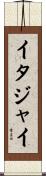 イタジャイ Scroll