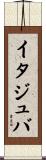 イタジュバ Scroll