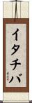 イタチバ Scroll
