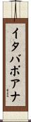 イタバポアナ Scroll