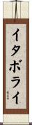 イタボライ Scroll