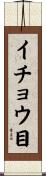 イチョウ目 Scroll