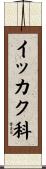 イッカク科 Scroll