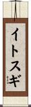 イトスギ Scroll