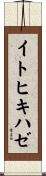 イトヒキハゼ Scroll