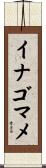 イナゴマメ Scroll