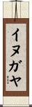 イヌガヤ Scroll
