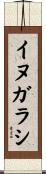 イヌガラシ Scroll