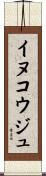 イヌコウジュ Scroll