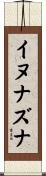 イヌナズナ Scroll
