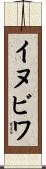 イヌビワ Scroll