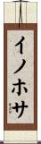 イノホサ Scroll