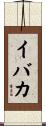 イバカ Scroll