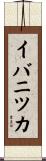 イバニツカ Scroll