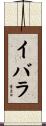 Ibarra Scroll